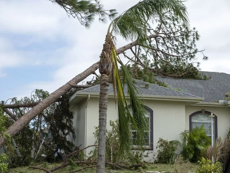 Large fallen tree resting on a suburban house roof after a severe storm requiring emergency roofing services.