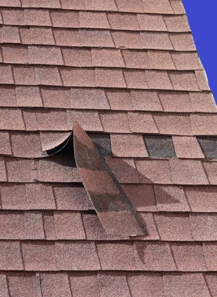 tile roof repair in orlando.webp